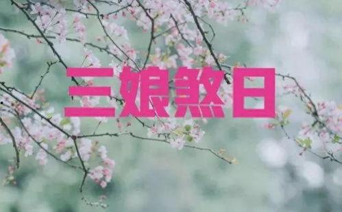 三七日,探寻神秘的三七文化之旅