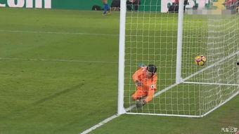 24-25赛季英超第20轮 水晶宫vs切尔西,英超第20轮焦点对决！”