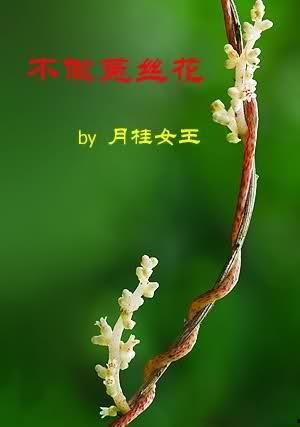 不做菟丝花后我光芒万丈